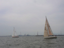 RIMG0382.jpg