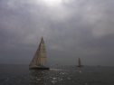 RIMG0384.jpg