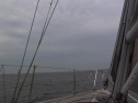 RIMG0392.jpg