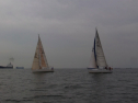 RIMG0394.jpg