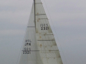 RIMG0395.jpg
