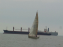 RIMG0396.jpg