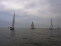 RIMG0397.jpg
