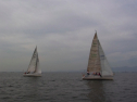 RIMG0399.jpg