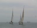 RIMG0417.jpg