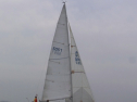 RIMG0426.jpg