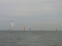 RIMG0428.jpg