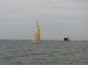 RIMG0435.jpg