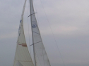 RIMG0451.jpg