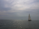 RIMG0459.jpg