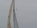 RIMG0460.jpg