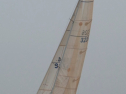 RIMG0462.jpg