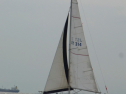RIMG0464.jpg