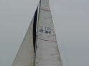 RIMG0465.jpg