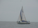 RIMG0468.jpg