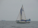 RIMG0469.jpg