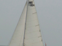 RIMG0473.jpg