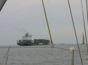 RIMG0480.jpg