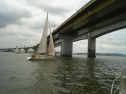 DSC04159.jpg