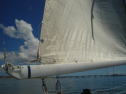 DSC04170.jpg