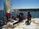 DSC04175.jpg