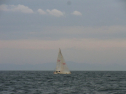 RIMG0017.jpg