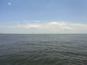RIMG0041.jpg