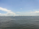 RIMG0043.jpg