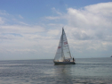 RIMG0053.jpg
