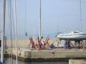 IMG_3516.jpg