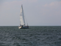 IMG_0011.jpg