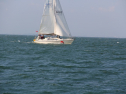 IMG_0015.jpg