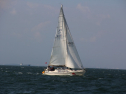 IMG_0016.jpg