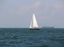 IMG_0017.jpg