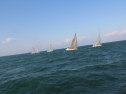 IMG_0045.jpg