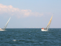 IMG_0052.jpg