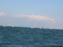 IMG_0056.jpg