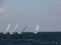 IMG_0058.jpg