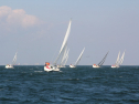 IMG_0060.jpg