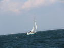IMG_0061.jpg