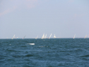 IMG_0062.jpg