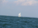 IMG_0072.jpg