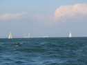 IMG_0075.jpg