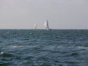 IMG_0078.jpg