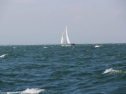 IMG_0080.jpg