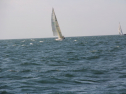 IMG_0082.jpg