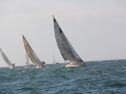 IMG_0089.jpg