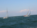 IMG_0115.jpg