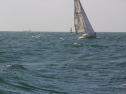 IMG_0124.jpg