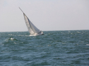 IMG_0127.jpg